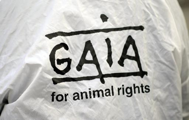 Gaia dépose plainte contre des éleveurs de dindes pour violation du bien-être animal