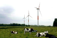 Pourquoi la Wallonie n'encourage pas assez les communautés d'énergie
