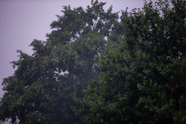 KMI waarschuwt voor onweer en kondigt code oranje af voor heel het land