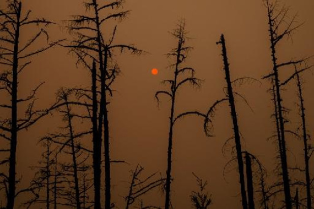 En Sibérie, le changement climatique déchaîne des feux de forêts battant tous les records