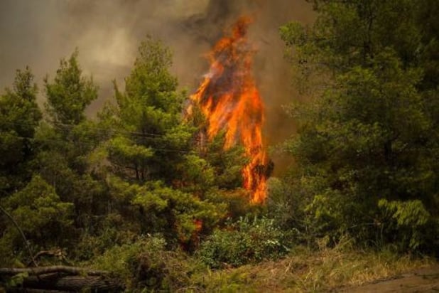 Chili: la sécheresse provoque des feux de forêt en plein hiver