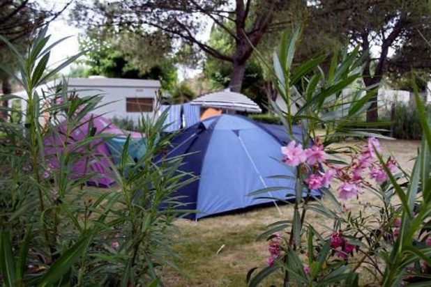 "Plan Demir voor vrij kamperen in de natuur is nu compleet misplaatst"