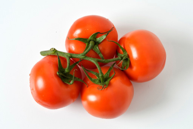 Mogelijk bijna geen Vlaamse tomaten komende winter