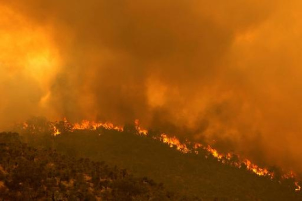 Le climat, facteur "déterminant" des feux de forêt en Australie