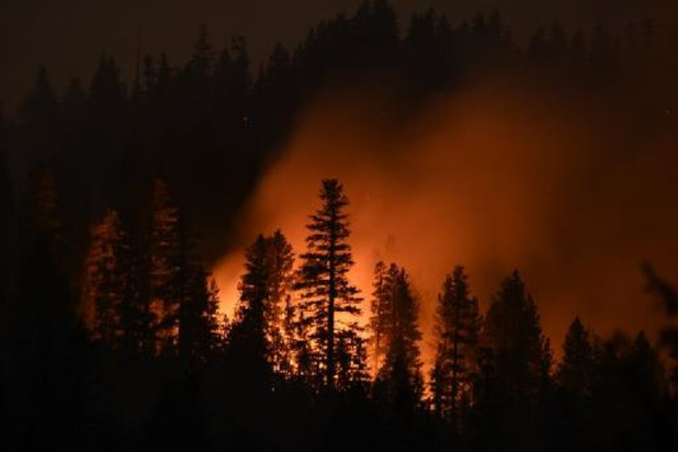 Grote bosbranden in Californië veroorzaakt door elektriciteitskabel, blijkt uit onderzoek