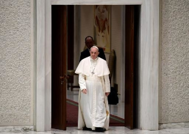 Le pape regrette que les animaux de compagnie "remplacent parfois les enfants"