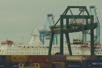 Les navires de croisière sont de retour à Zeebrugge