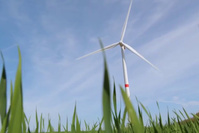 Energie: 36 éoliennes ont été érigées en Wallonie en 2022