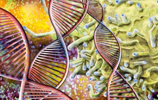 Des tests ADN "récréatifs" aux médicaments innovants