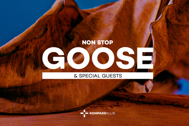 Goose gaat nacht loos in Gentse Kompass Klub