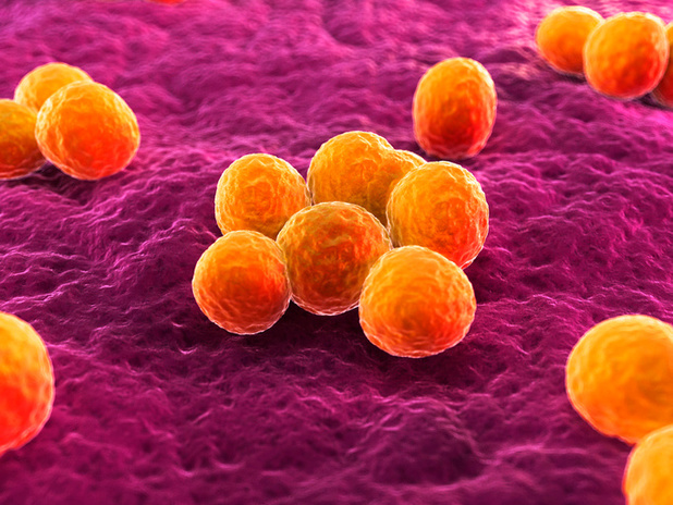 Wat betekent overgevoeligheid voor de enterotoxine van Staphylococcus aureus voor astmalijders?