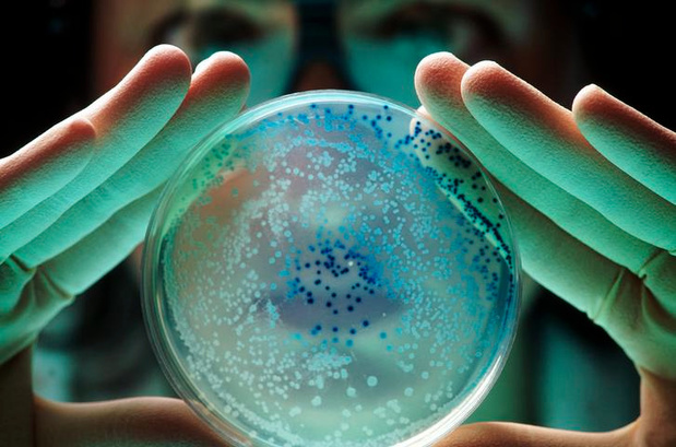 Les infections bactériennes, deuxième cause de décès dans le monde