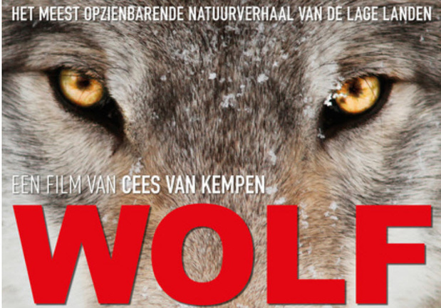Win een duoticket voor de prachtige natuurfilm 'Wolf'