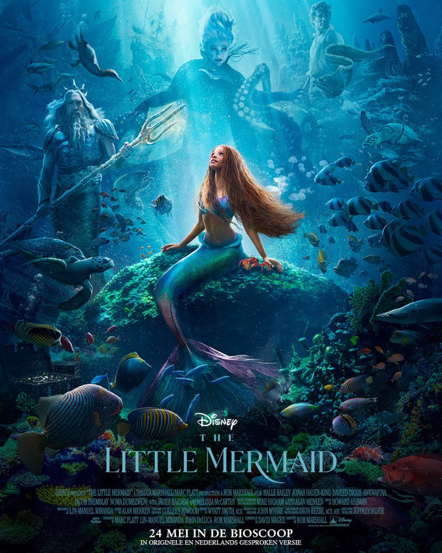Maak kans op een duoticket voor de film 'The Little Mermaid'