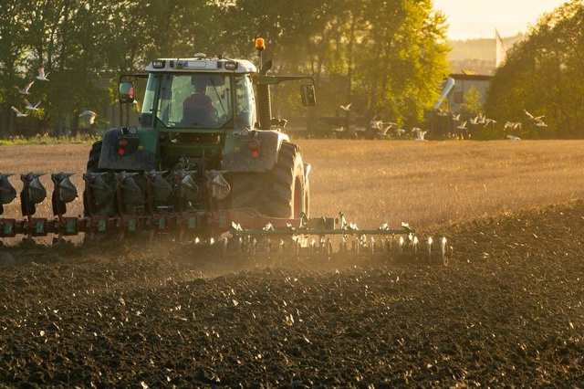West-Vlaamse landbouwers betalen hoogste pachten