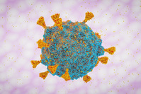 Covid: des nouveaux variants résistent aux anticorps de la vaccination ou d'une précédente contamination
