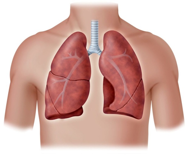 Aantasting kleine luchtwegen in alle stadia van astma