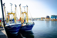 Ce qui peut changer pour les pêcheurs en cas de Brexit 