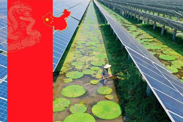 Xi Jinping est-il vraiment vert ? "L'écologie est le moyen, l'autoritarisme la fin"