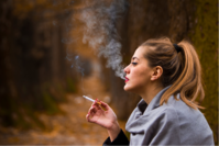 Interdiction de fumer dans les forêts et réserves naturelles flamandes