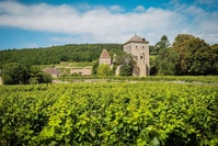 Nouveau record à l'export pour les vins de Bourgogne en 2021 avant les difficultés dues au gel