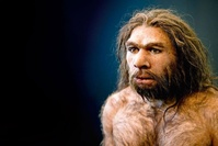 Néandertal entendait aussi bien que nos ancêtres