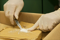 Pandémie, cocaïne : la criminalité en Europe au 