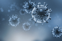 Coronavirus en Belgique: Près de 480 contaminations quotidiennes en moyenne