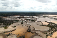 L'Europe regarde la forêt amazonienne relâcher du carbone (carte blanche)