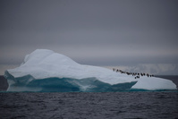 Russie: un navire de pêche coule dans l'Arctique, 17 personnes portées disparues