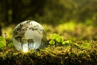Taxes environnementales: la part des ménages en hausse, au profit des entreprises