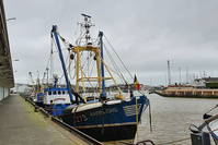 Les comités des pêches bretons invitent leur flotte à éviter les eaux britanniques