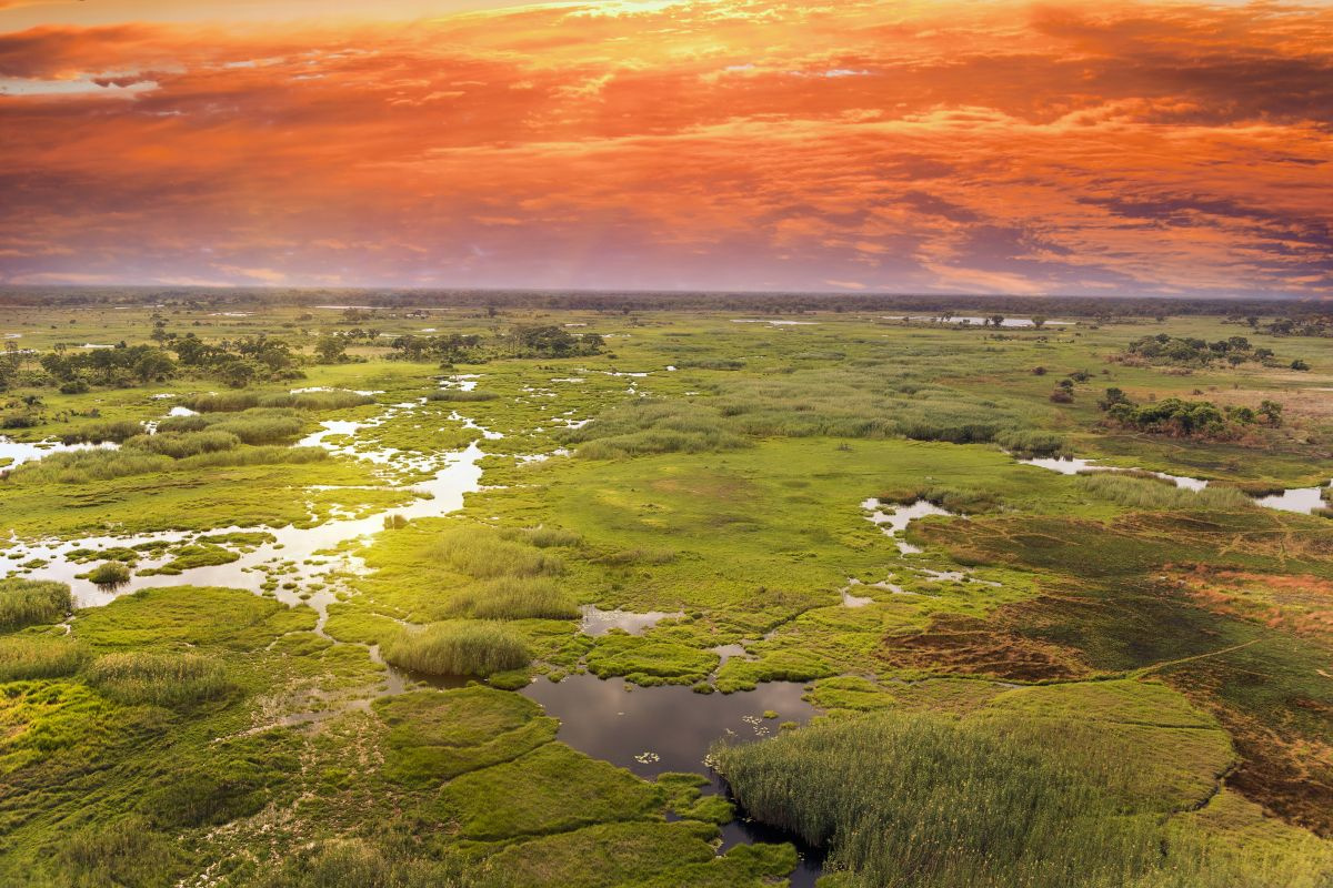 Okavango, Getty Images