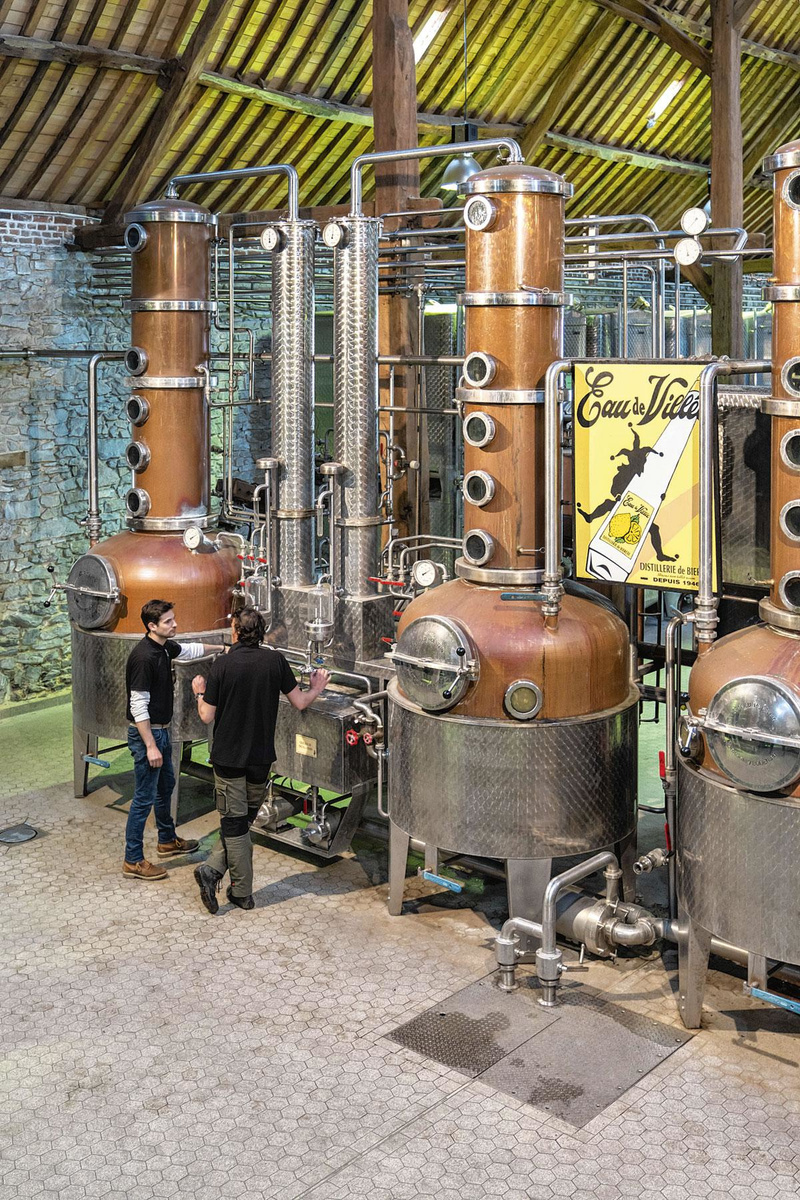 Les impressionnants alambics de cuivre de la Distillerie de Biercée., Photo Frédéric Raevens