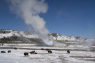 Reisvideo: Yellowstone zoals de toeristen het niet zien