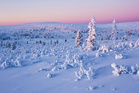 Expeditie Lapland: 'A natural high, een trance in de sneeuw'