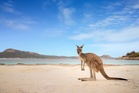 Etre vacciné contre le covid pourrait être bientôt une condition pour entrer en Australie