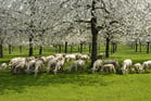 Nieuwe overheidscampagne zet natuur in eigen land in de kijker