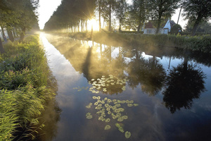 Vijver, rivier of kanaal: 10 plekken waar je kunt genieten van een idyllische zwemervaring