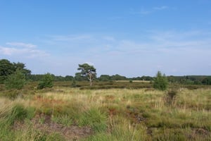 Nationaal Park Hoge Kempen wordt verdubbeld