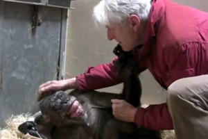 Dieren hebben alle emoties die mensen hebben, schrijft primatoloog Frans de Waal