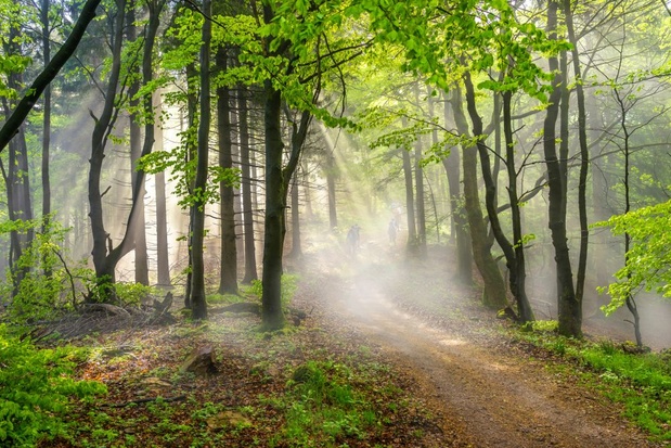 Decouvrez La Thuringe Le Poumon Vert De L Allemagne Voyage Levif Weekend