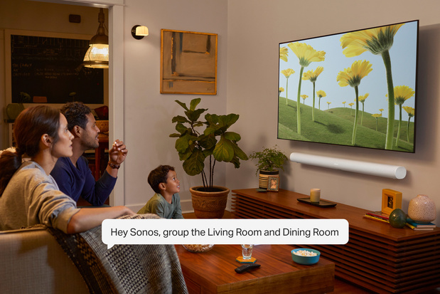 sonos without voice control