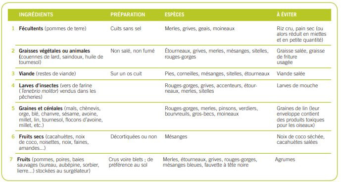 Comment Bien Nourrir Les Oiseaux En Hiver - Société - Plusmagazine